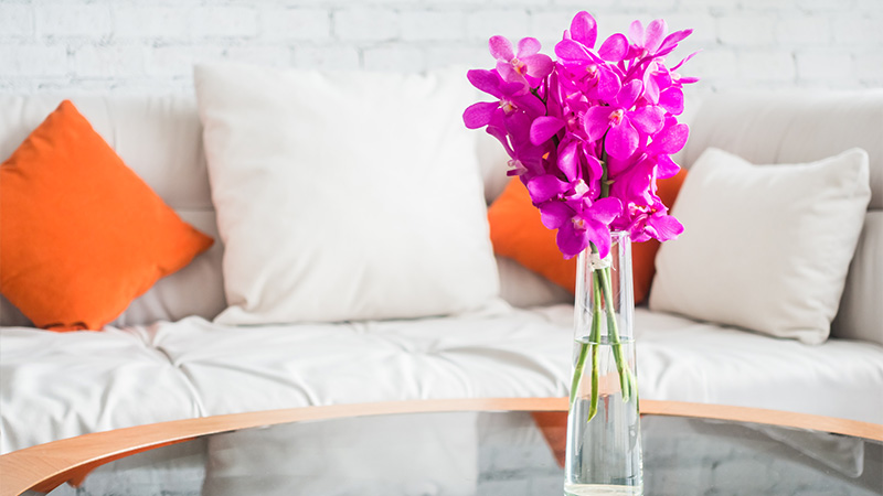 Garden Centers and Home Decor Stores