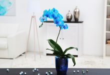 How to Clean Artificial Flowers in a Vase: The Ultimate Guide