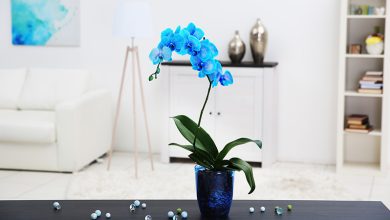 How to Clean Artificial Flowers in a Vase: The Ultimate Guide