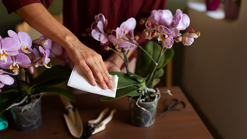 Removing Dust and Debris