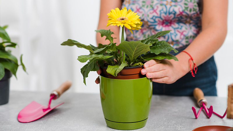 Step-by-Step Cleaning Process