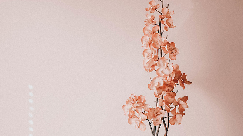 Tips for Finding the Perfect Artificial Flowers in Toronto