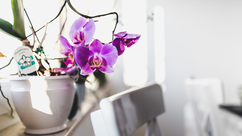 ترتیبات خود را شخصی کنید