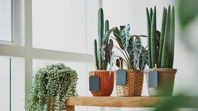 Where to Buy Artificial Flowers in NYC? The Ultimate Guide