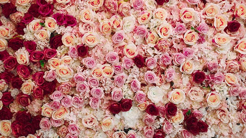 Displaying and Enjoying Your Flower Wall Backdrop