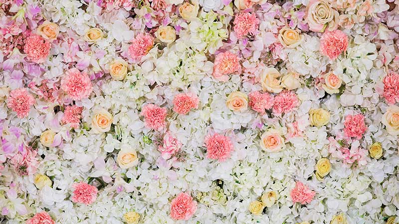 Elevate Your Event with a Gorgeous Flower Wall Backdrop