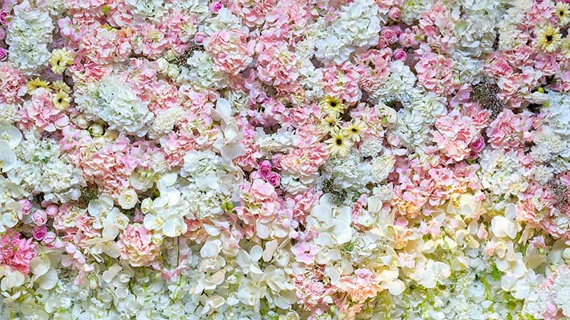 Factors Influencing the Cost