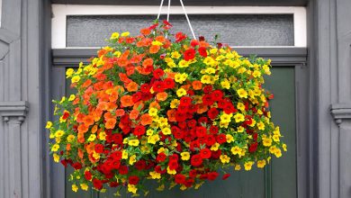 How to Make Artificial Flower Hanging Baskets: A Step-by-Step Guide
