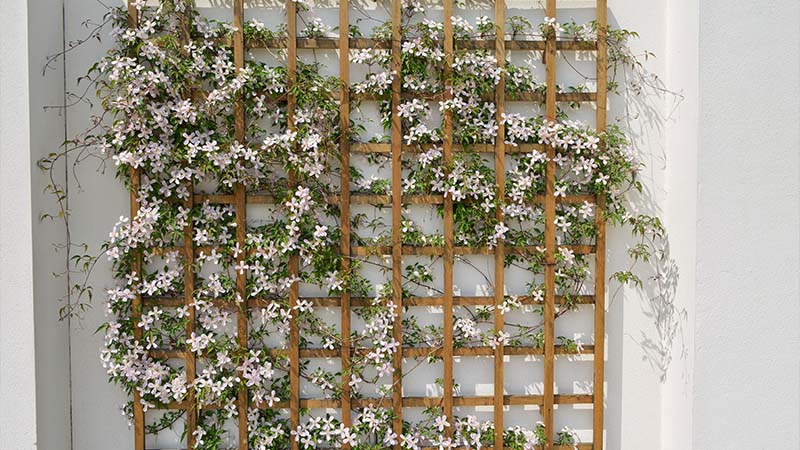 Preparing the Backing