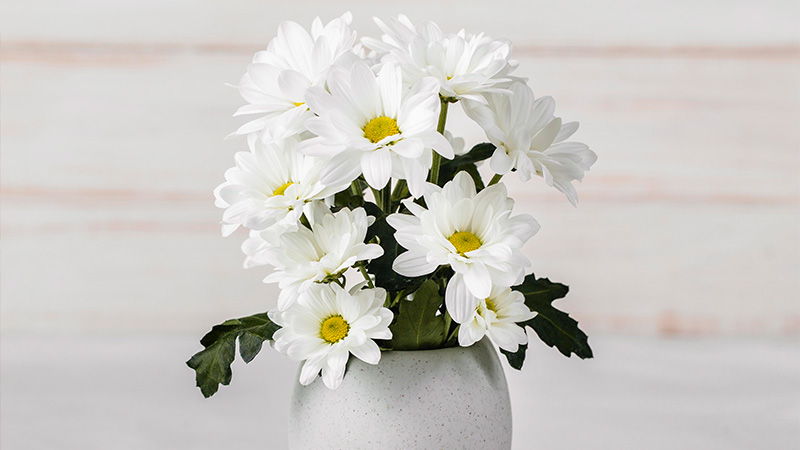 Daisy Garlands: Whimsical Delight