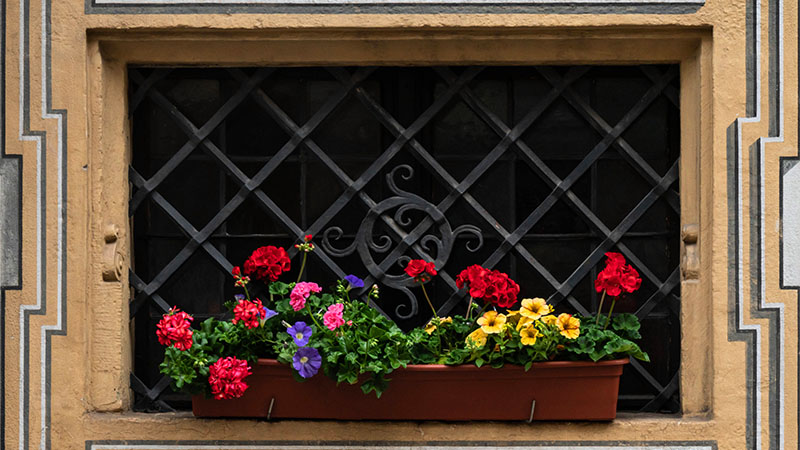Factors to Consider When Choosing the Best Artificial Flowers for Window Boxes