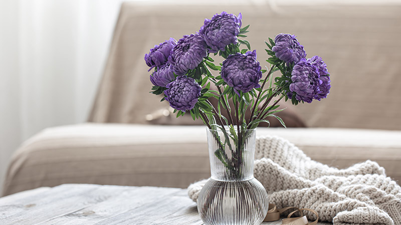 Hydrangea Bouquets: Soft and Romantic