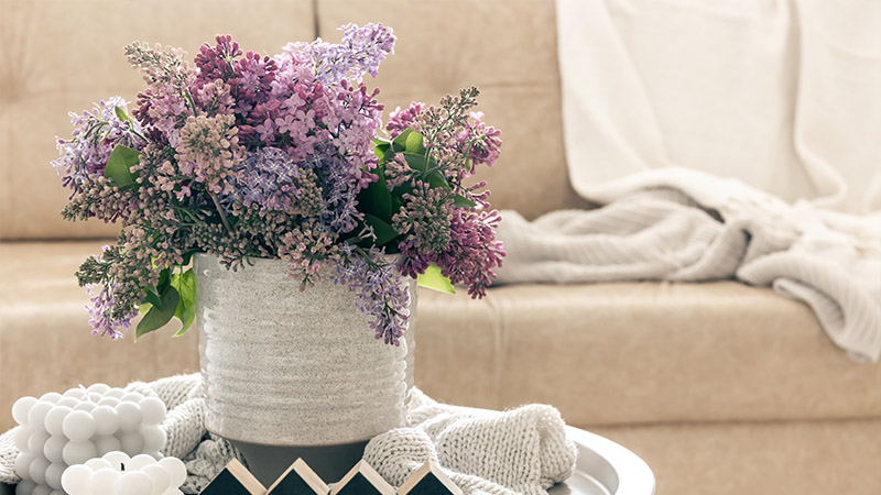 Lavender Bunches: Tranquil Serenity