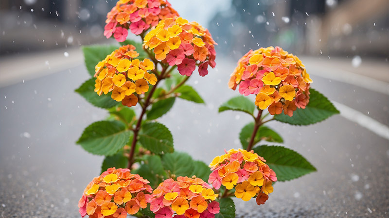 Some Key Features of the Best Outdoor Artificial Flowers