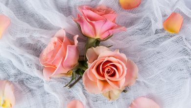 The 10 Best Places to Buy Artificial Flowers in Houston