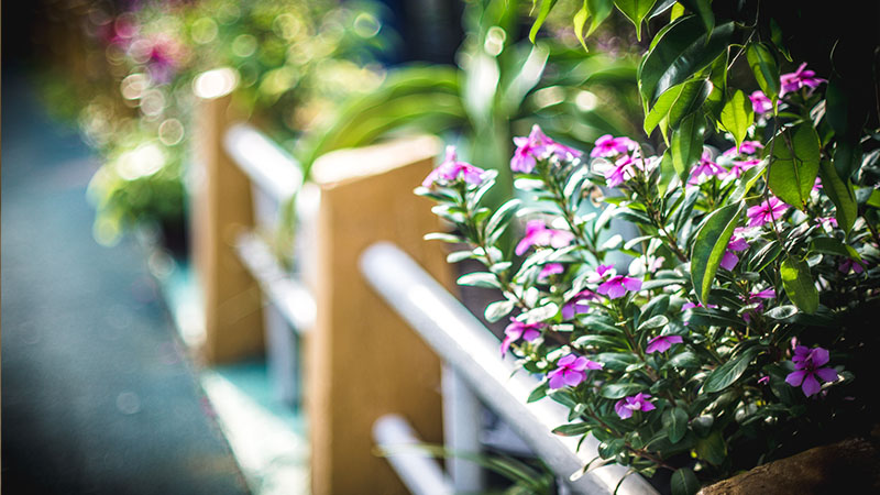 Applying Waterproof Sealant