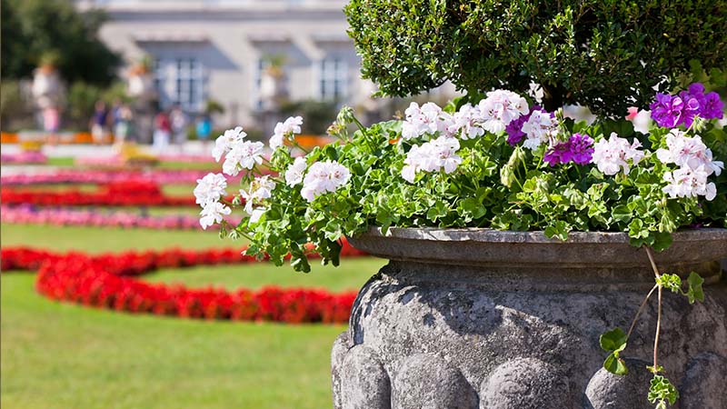 Best Artificial Flowers for Outdoor Use