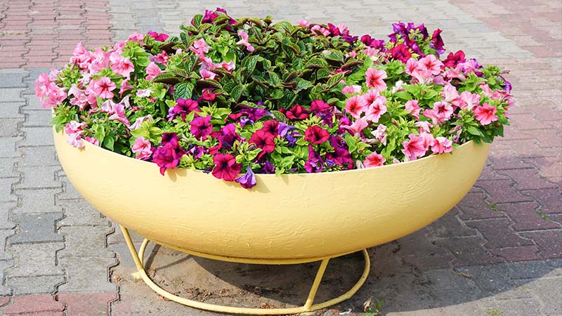 Choosing the Right Materials