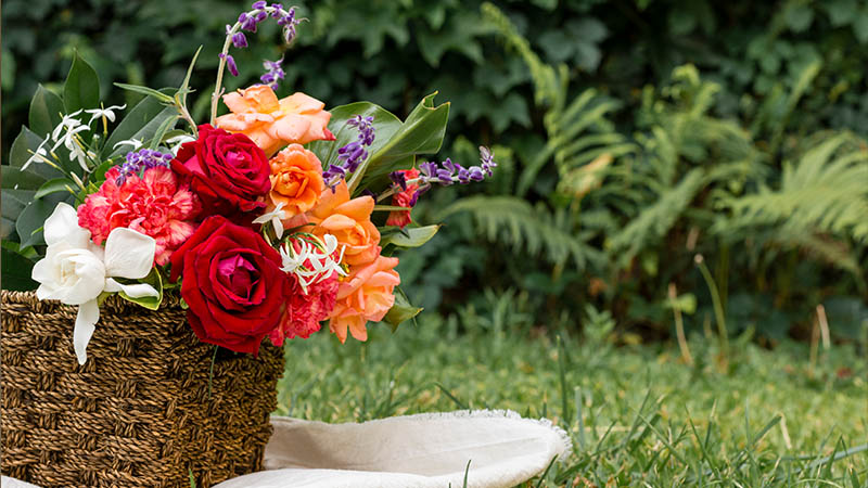 Choosing the Right Materials