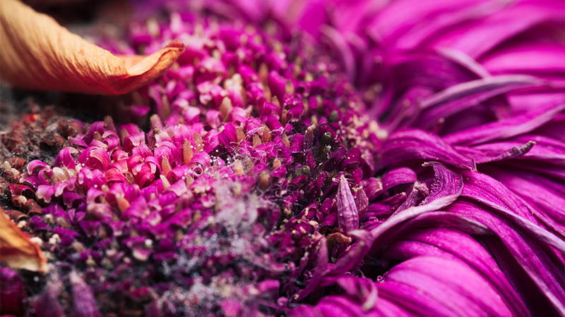 Enhancing Texture and Realism