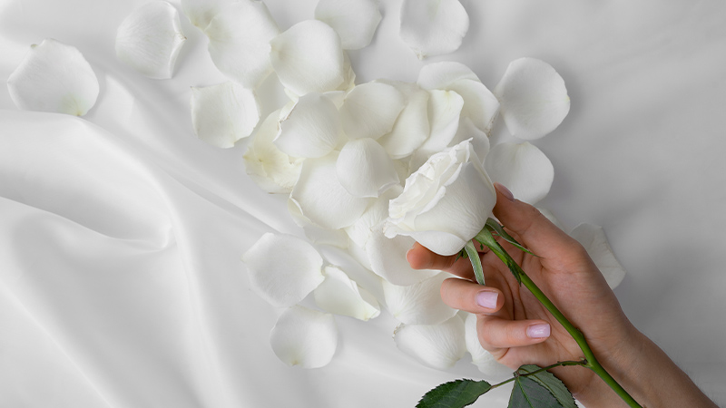 2. Gather Your Materials