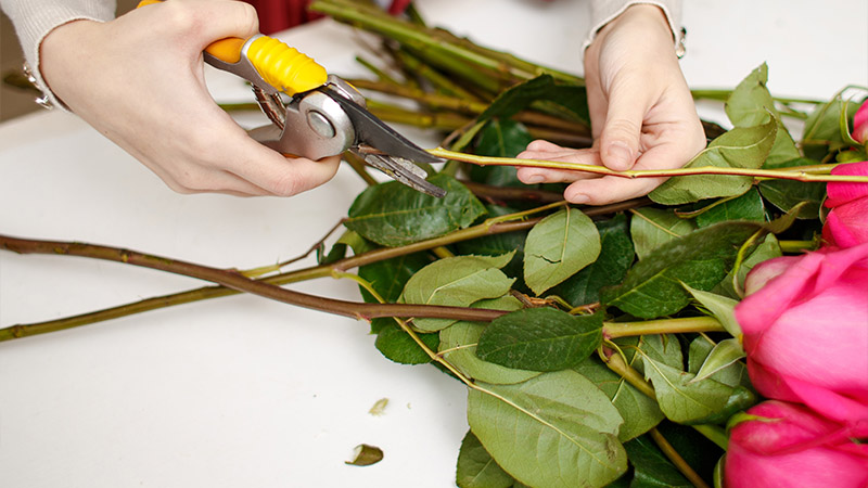 How to Measure and Mark the Stems