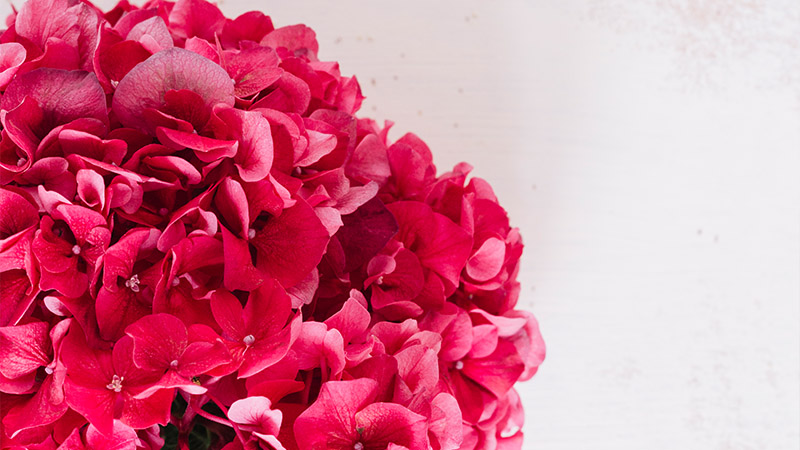 Notes on Using the Best Artificial Flowers That Look Real