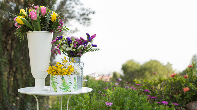 Regular Cleaning and Maintenance