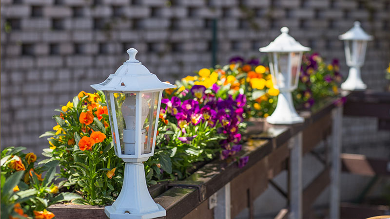 Sheltering from Harsh Weather