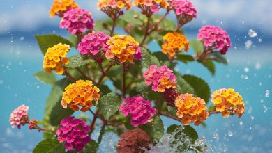 What Artificial Flowers Can Be Used Outside? A Guide to Weather-Resistant Blooms