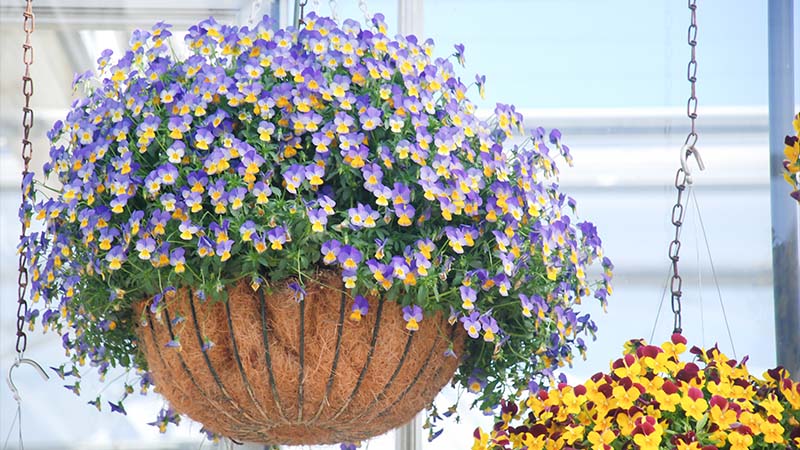 Assembling Your Hanging Flower Basket