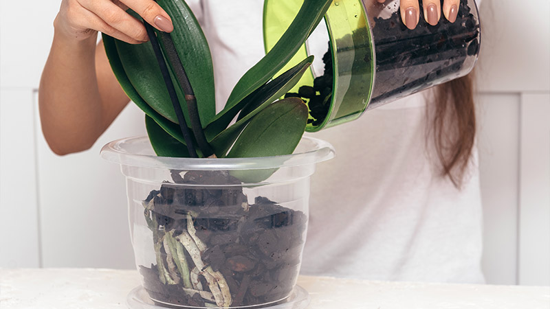 What to Fill Vase with Artificial Flowers: Basic Options