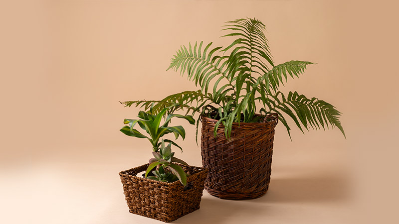 Baskets: Rustic and Cozy