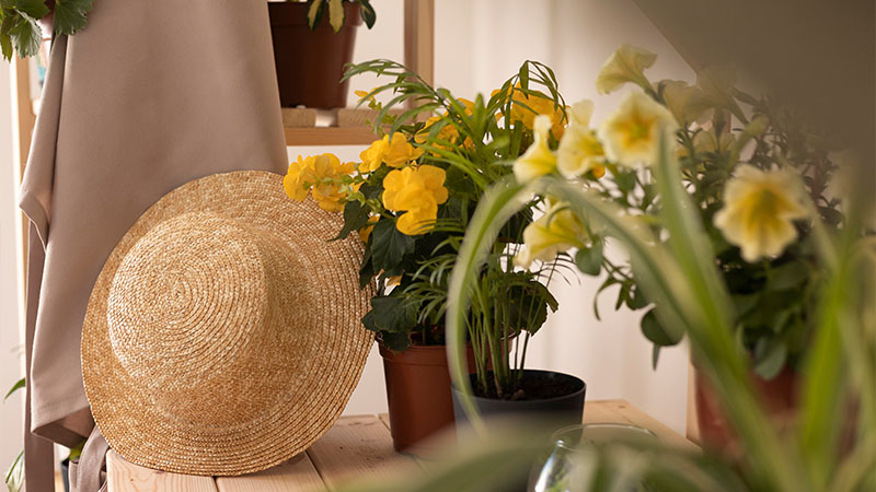Baskets: Rustic and Cozy