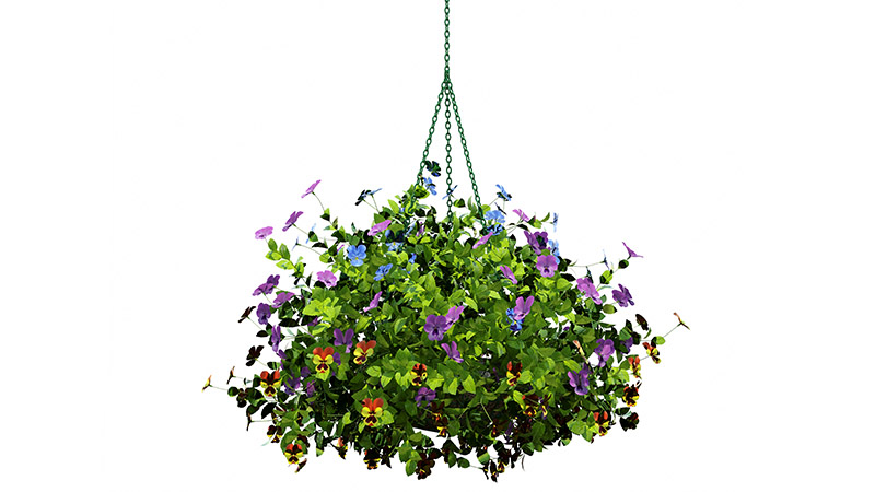 Caring for Your Hanging Flower Baskets