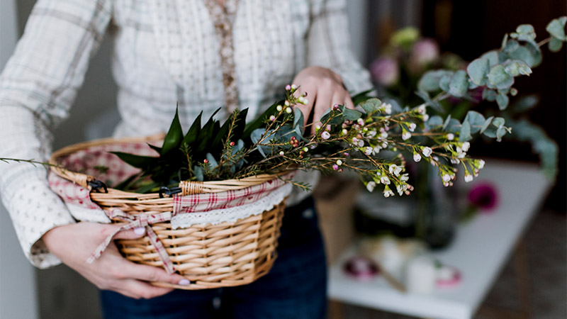 Choosing Your Plants
