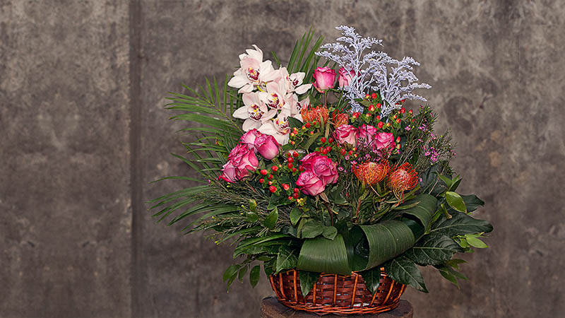 Choosing the Right Hanging Flower Baskets for Your Space