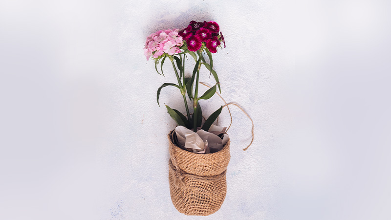 Choosing the Right Spot for Hanging Flower Baskets