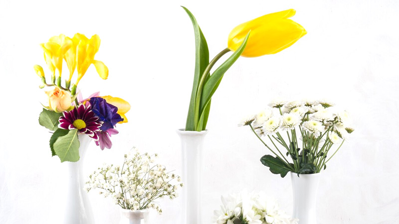 Cheerful Daffodil Mix