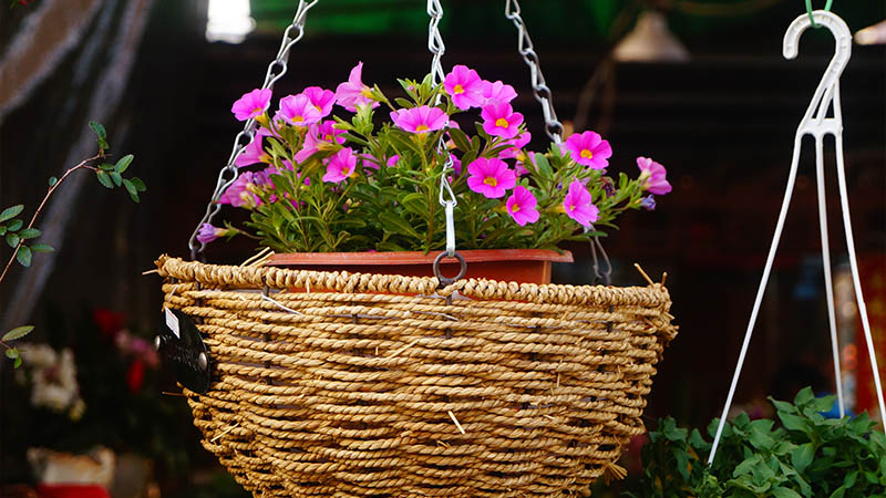 Creative Hanging Flower Basket Ideas