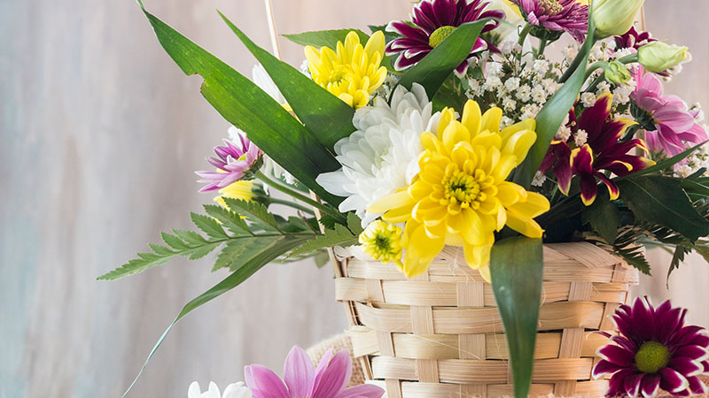 Donating to Charities or Schools