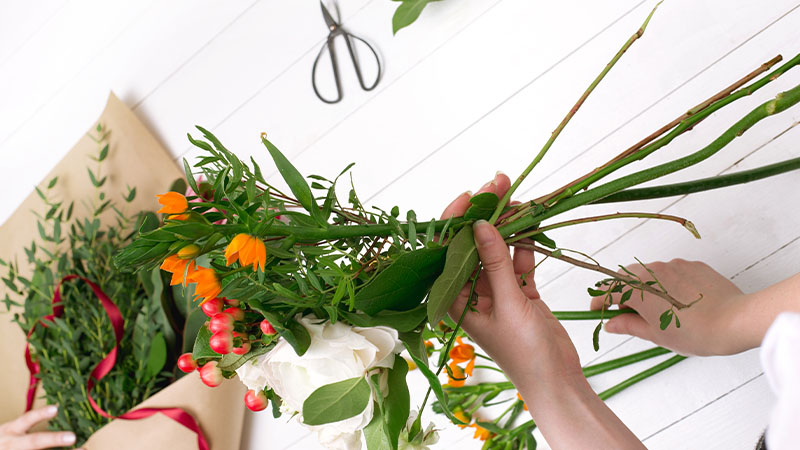 Educational Projects