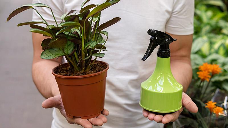 Eliminating Static and Keeping Clean with Static Cling Eliminator Sprays