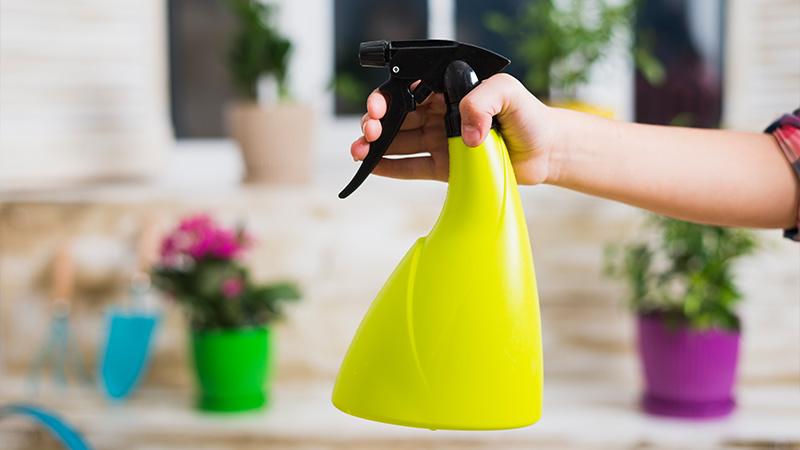 Enhancing and Protecting with Color Enhancement Sprays