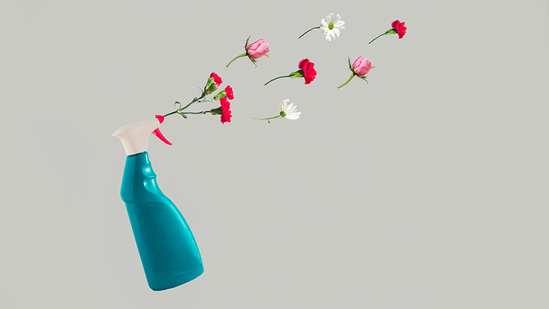 Feeding Your Hanging Flower Baskets