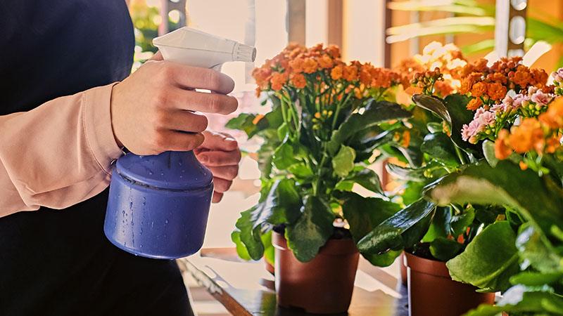 Guarding Against Moisture with Mold and Mildew Prevention Sprays