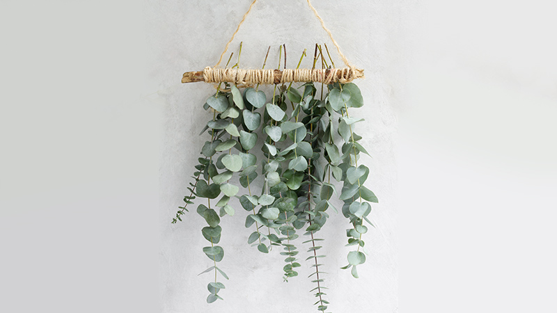 Hanging Your Flower Baskets