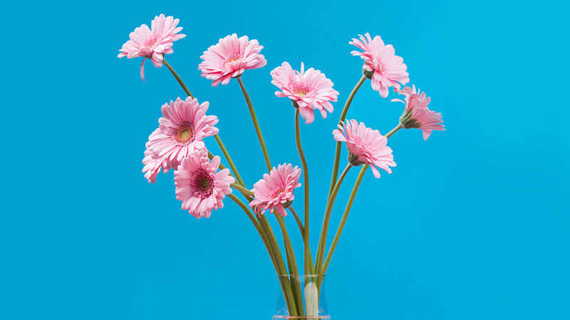How to Choose the Most Realistic Artificial Flowers for Your Needs