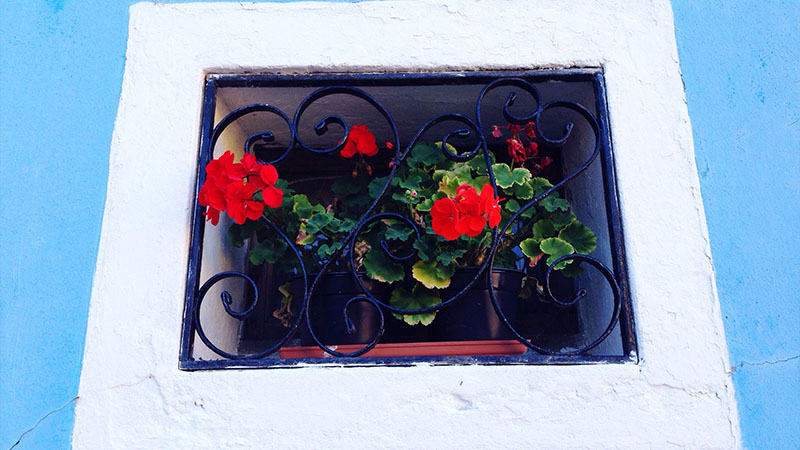 Modern and Minimalist Window Box Ideas with Artificial Flowers