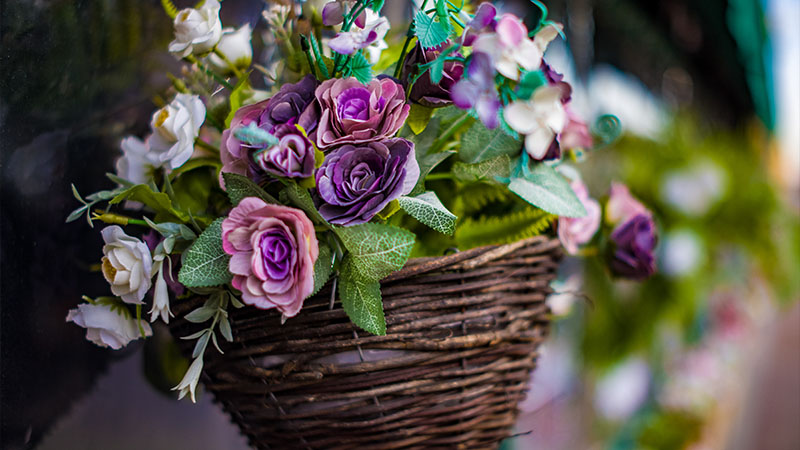Seasonal Care for Hanging Flower Baskets